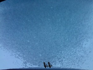 Endlich fällt in Tirol der lang ersehnte Schnee!