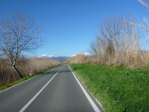 Weg nach Sa Pobla - Mallorca
