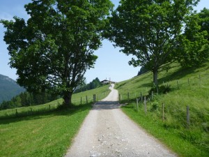 Weniger Meter noch zur Wildbichler Alm