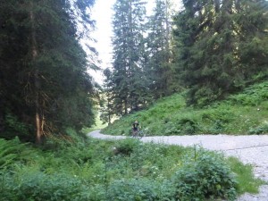 Ansteig nach der Oberwiesenalm
