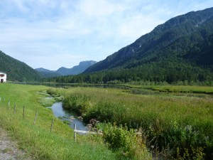 Der Anfang vom Pillersee - urspüngliche Natur pur