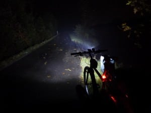 cree led licht