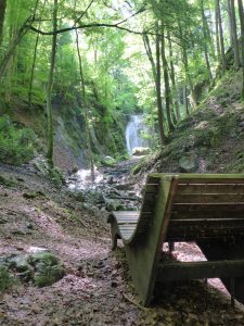 verträumter Wasserfall im Wald