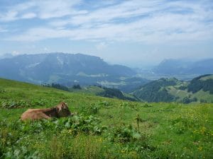 faulenzen und den Ausblick genießen - Recht hat sie!