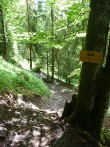 Bei Fliegern gilt runter kommen sie immer, beim Downhill stimmt das nur bedingt!