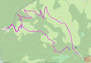 Kranzhorn - ungenaue Aufzeichnung vom Garmin