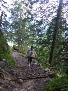 Waldweg Kaltwasser 1a aber noch keine Autobahn