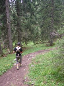 So sieht ein schöner Waldweg aus!