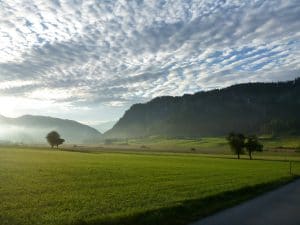 geniale Morgenstimmung in der Schwemm