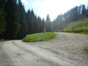 die letzten 50 Meter auf Schotter