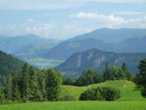 Blick auf den Walchsee