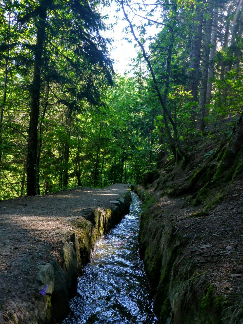 Familienwanderung – Schenna Waalweg