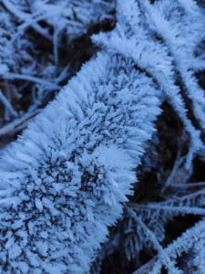 Faszination Winterbiken – auch ohne Schnee toll!